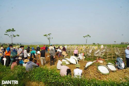 Tang thương cảnh một chiếc xe tang quay vòng đưa 5 nữ sinh ra nghĩa trang