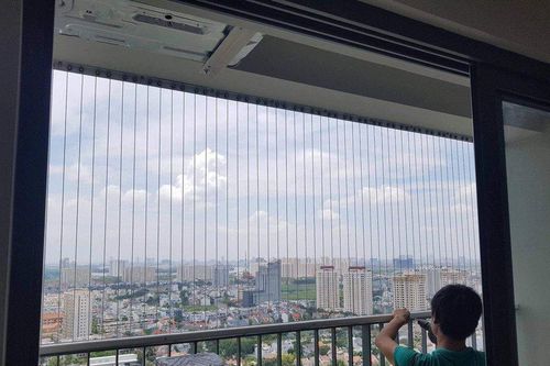 TP.HCM vào mùa mưa, chung cư khuyến cáo cư dân cảnh giác kiến 3 khoang
