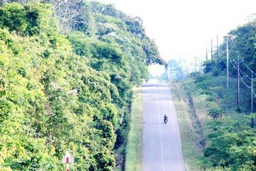 Phản hồi bài viết Băn khoăn vị trí dự kiến xây cầu Mã Đà: Bảo vệ di sản của nhân loại