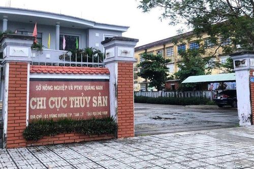Khởi tố nguyên Chi cục trưởng Chi cục thủy sản Quảng Nam