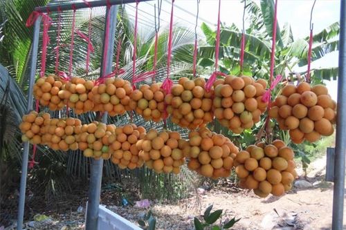 3 món giải nhiệt đang 'hot' rần rần: Người miền Tây nhìn qua là biết ngay món gì