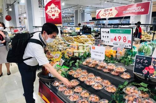 Tư vấn xuất khẩu nông thủy sản và thực phẩm sang thị trường Nhật Bản