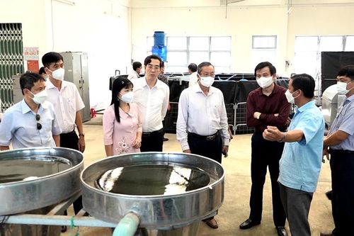 Đoàn công tác Tạp chí Cộng Sản tham quan các mô hình liên kết nuôi cá tra theo chuỗi giá trị ở An Giang