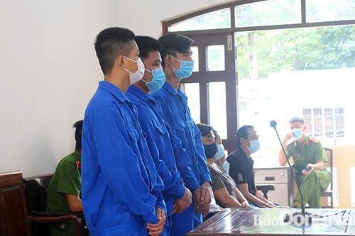 Ném 'bom xăng' do mâu thuẫn, các bị cáo lãnh án nặng