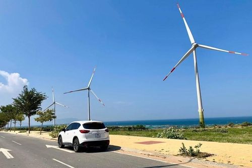 Bộ Công thương làm việc với GWEC để phát triển điện gió nhằm giảm phát thải khí CO2