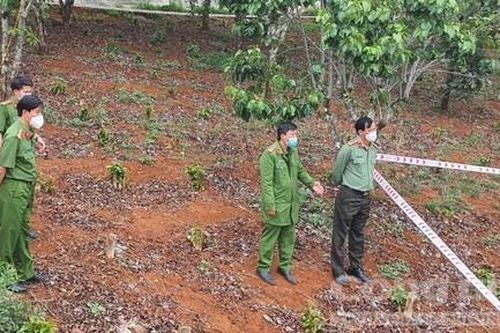 Lâm Đồng: Chú chó giúp phát hiện vụ án giết vợ chôn xác phi tang cách đây 3 tháng