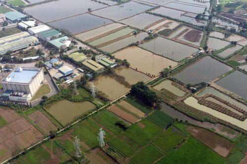 Hà Nội: Bé trai 12 tuổi chết đuối trong khu dự án đấu giá đất