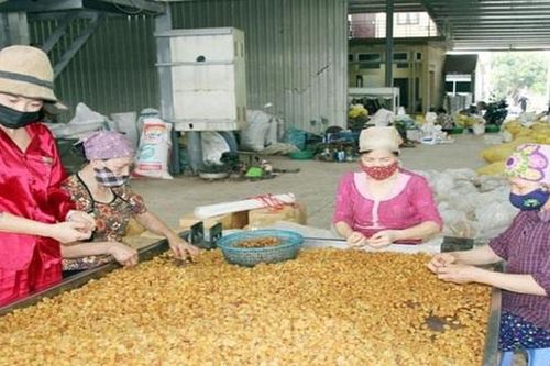 Các cơ sở sản xuất tiểu thủ công nghiệp cần đầu tư thiết bị và chủ động tìm kiếm thị trường mới