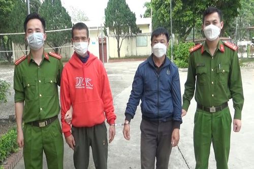 Vào rừng chăn thả trâu rồi bắt trộm trâu