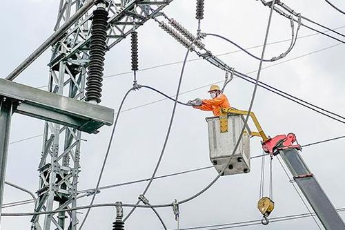 Những 'vũ công' trên lưới điện cao thế