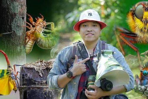 Ngắm khoảnh khắc đẹp kỳ ảo của côn trùng qua ống kính của nhiếp ảnh gia Hà thành