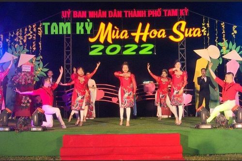 Quảng Nam: Khai mạc lễ hội 'Tam Kỳ - Mùa hoa sưa năm 2022'