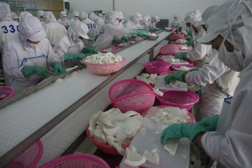 Khả quan với mục tiêu 50 tỷ USD xuất khẩu nông sản