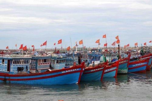 Cả nước có 74 khu neo đậu đủ điều kiện tránh trú bão cho ngư dân