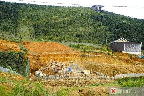 Lâm Đồng: Xử lý nghiêm những Hạt trưởng Kiểm lâm để mất rừng