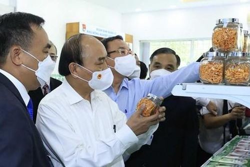 Hình ảnh Chủ tịch nước thăm khu Nông nghiệp công nghệ cao TP.HCM