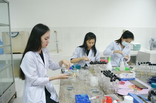 Trường ĐH Trà Vinh: Thêm 3 chương trình đạt chất lượng giáo dục quốc tế FIBAA