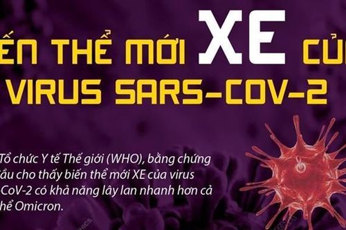 Biến thể COVID-19 mới XE có nguy hiểm hay không?