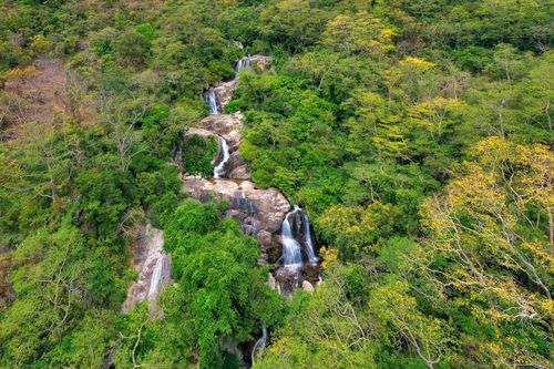 Ninh Thuận: UNESCO công nhận Núi Chúa là Khu dự trữ sinh quyển thế giới
