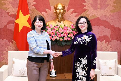 Phó Chủ tịch Hội đồng Dân tộc Cao Thị Xuân tiếp Đại sứ Romania tại Việt Nam