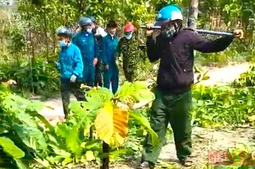 Đề nghị xử lý nghiêm hành vi hành hung, đe dọa nhân viên bảo vệ rừng tại Gia Lai