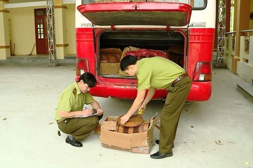 Hà Giang: Phát hiện xe khách vận chuyển gỗ nghiến lậu