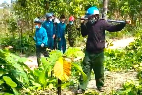Nhân viên bảo vệ rừng bị hành hung ở Gia Lai: Tổng cục Lâm nghiệp vào cuộc