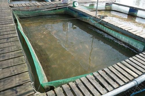 Quảng Nam ban hành chương trình sinh kế cho người dân lưu vực các hồ thủy điện