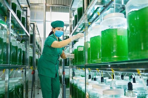 Nghệ An: Khoa học công nghệ nâng tầm sản phẩm OCOP