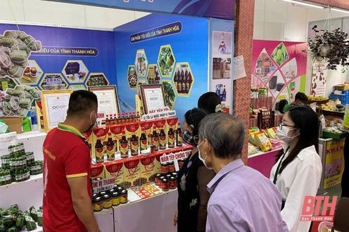 Hơn 20 sản phẩm tiêu biểu của Thanh Hóa tham gia trưng bày tại Hội chợ VietNam Expo 2022