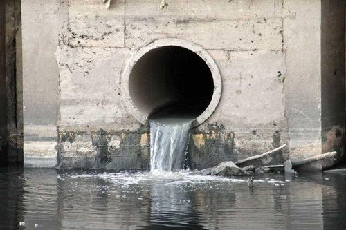Xả thải gây ô nhiễm, Đắk Nông mạnh tay xử phạt một hộ dân hơn 250 triệu đồng