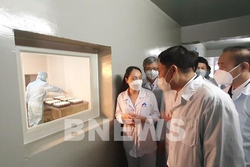 Kiểm tra tiến độ nghiên cứu, sản xuất vaccine dịch tả lợn châu Phi