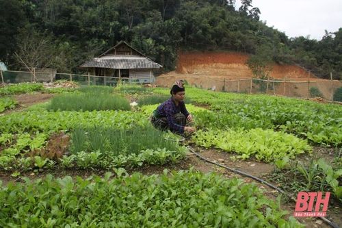 Đồng bào dân tộc thiểu số hưởng ứng các phong trào thi đua yêu nước
