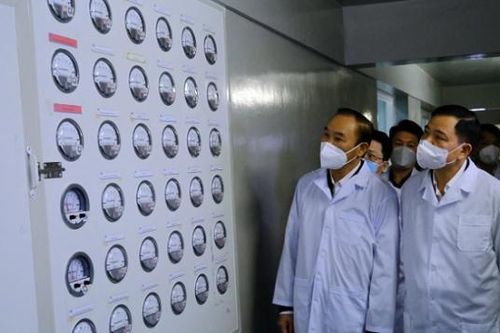 Sắp công bố vaccine dịch tả lợn Châu Phi do doanh nghiệp Việt nghiên cứu