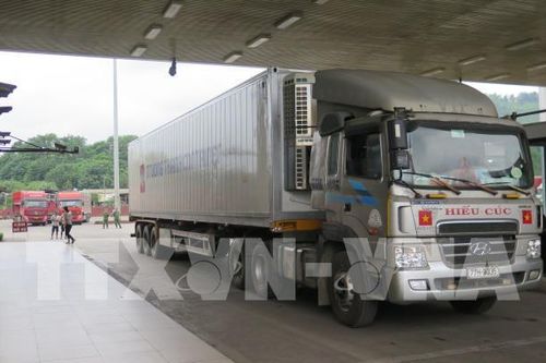 Xuất nhập khẩu qua cửa khẩu Lào Cai dự kiến ổn định trong tháng 5
