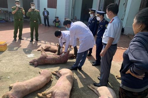 Xử phạt cơ sở sơ chế, bảo quản sản phẩm động vật mang mầm bệnh tại Bắc Giang