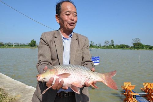 Trang bị kiến thức cho nhà nông