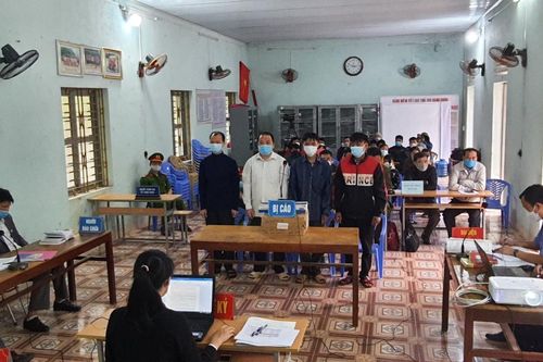 Vụ phá rừng nghiến tại Hà Giang: 4 bị cáo chia nhau 15 năm tù