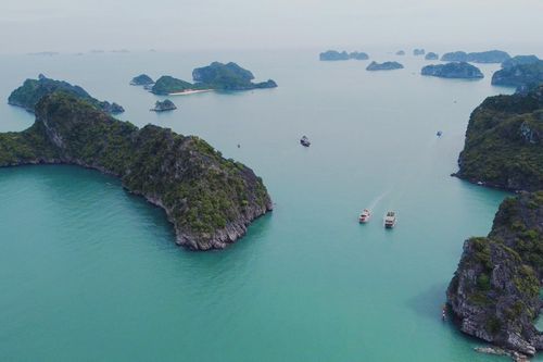 Kế sách để 'chớp' cơ hội vàng