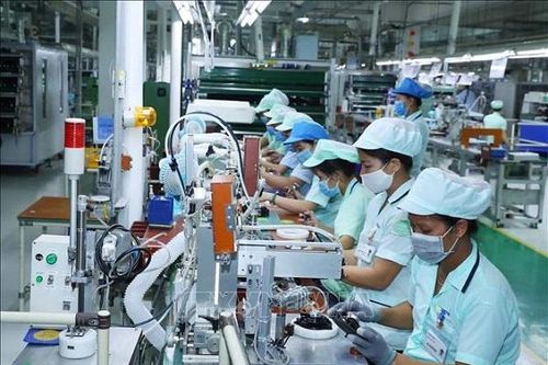 Hệ sinh thái đổi mới sáng tạo và khởi nghiệp vươn lên một tầm cao mới