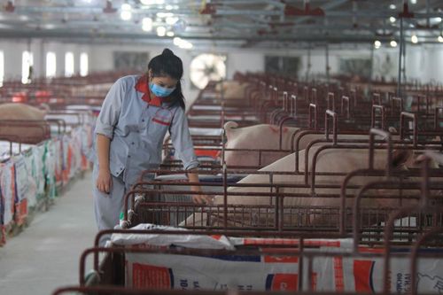 Chiến lược dài hạn đi cùng với xây dựng chuỗi sản phẩm