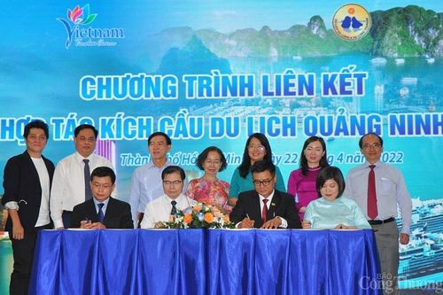Quảng Ninh đẩy mạnh liên kết hợp tác với TP. Hồ Chí Minh kích cầu du lịch