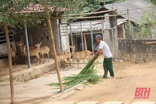 Tăng cường quản lý, kiểm tra, giám sát cơ sở nuôi động vật hoang dã vì mục đích thương mại