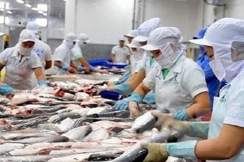 Trung Quốc siết chặt kiểm dịch, thủy sản Việt Nam xuất khẩu vẫn tăng gấp đôi