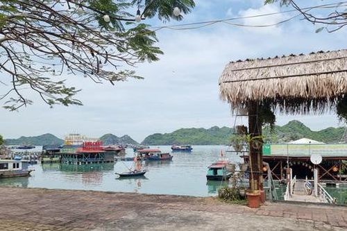 Bị 'bốc' đi bất ngờ, hàng loạt chủ nhà hàng nổi ở Cát Bà, Hải Phòng kêu cứu