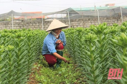 Nâng cao năng lực dự báo trong sản xuất nông nghiệp