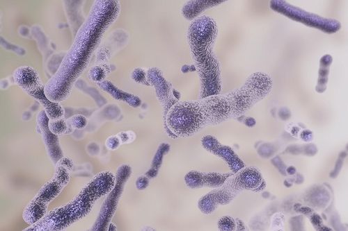 Phát hiện mới về loại vi khuẩn liên quan đến ung thư tuyến tiền liệt