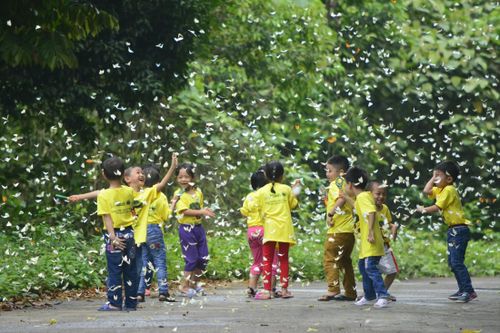 Mở hội đại ngàn Cúc Phương