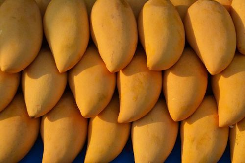 Xuất khẩu xoài tươi của Thái Lan tăng 15% trong 2 tháng đầu năm
