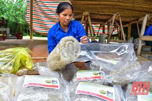 Phát triển các sản phẩm nông nghiệp lợi thế ở xã Cẩm Bình